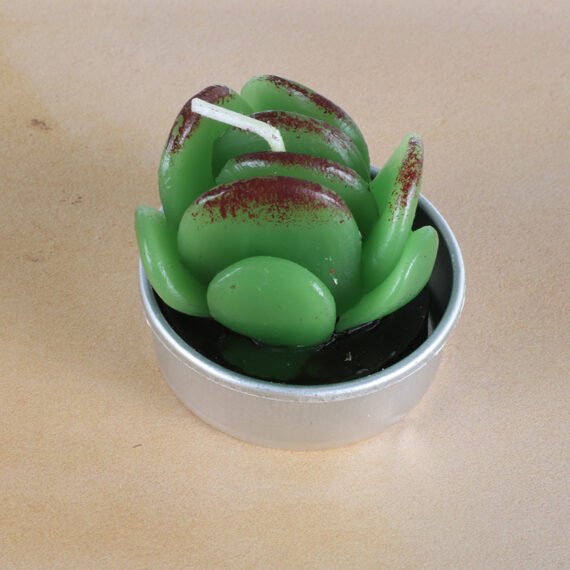 Simulated Succulent Candle Aromatherapy