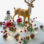 Christmas Tree 2M 20 LED Warm White Pine Cone Star String Lights