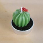 Simulated Succulent Candle Aromatherapy