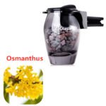 Car air outlet aromatherapy