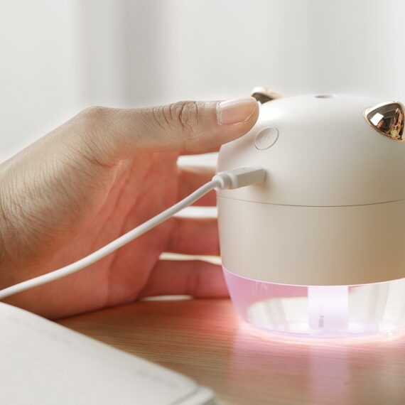 Angel Devil Humidifier