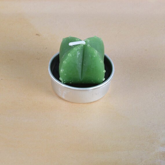 Simulated Succulent Candle Aromatherapy