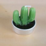 Simulated Succulent Candle Aromatherapy