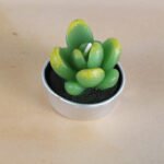 Simulated Succulent Candle Aromatherapy